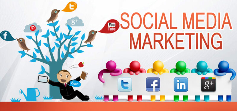 social media marketing (smm)