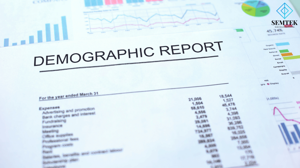 Demographic là gì?